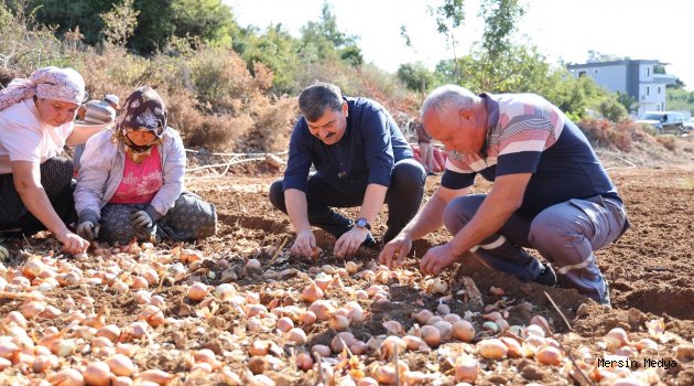 HAKÇI BAŞKAN YILDIZ SOĞAN TARLASINDA, ÜRETİCİLERLE BİRLİKTE SOĞAN EKİMİ YAPTI