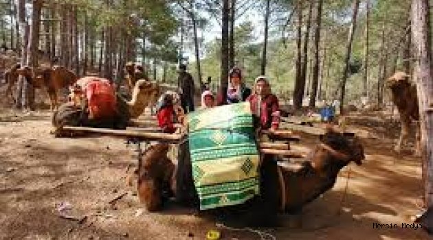 ATALARIN GELENEKLERİ SÜRDÜRÜLÜYORSARIKEÇİLİ YÖRÜKLERİN KIŞ GÖÇÜ