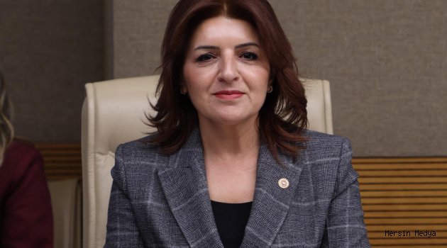 GÜLCAN KIŞ: ““TORBA YASAYLA ÜLKE YÖNETİLMEZ
