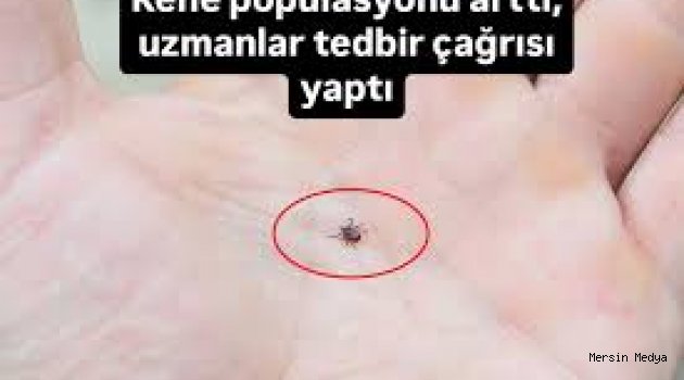 UZMANLARDAN  KENE TEDBİR ÇAĞRISI YAPTI